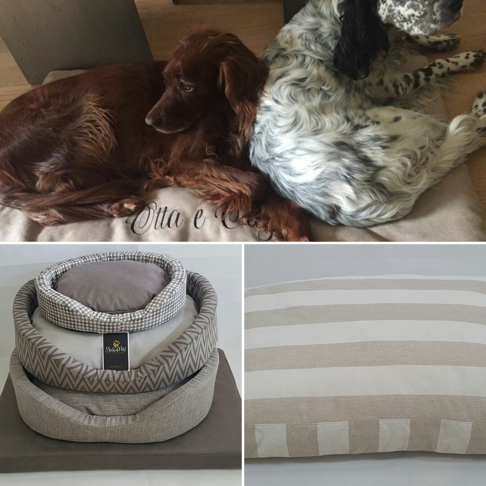 Cucce e cuscini personalizzati per cani e gatti.