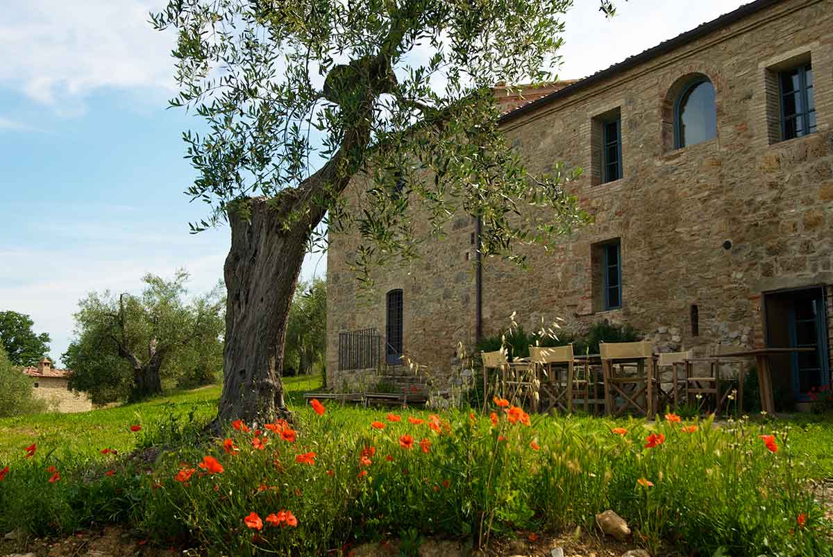 Podere Spedalone è il luogo ideale dove rigenerare lo spirito.