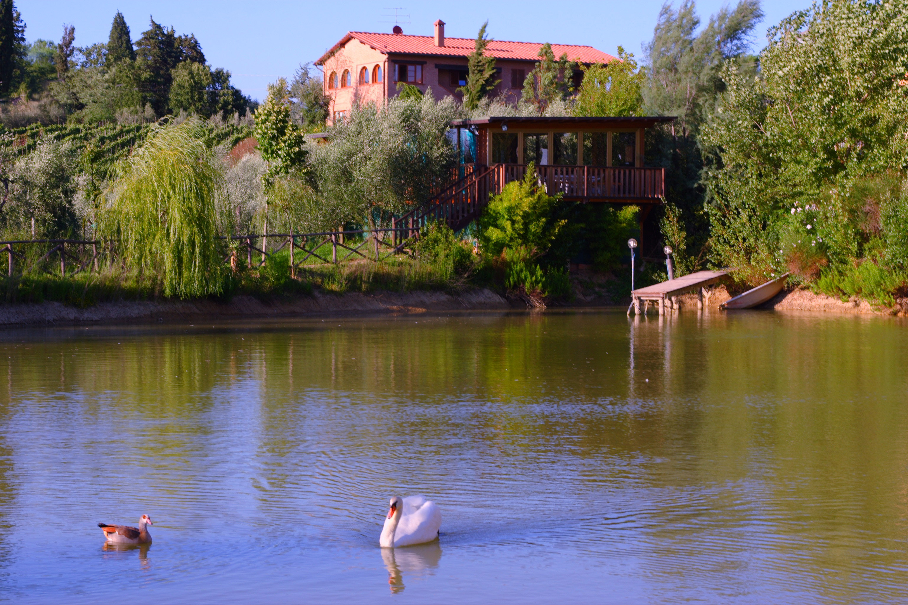 Agriturismo Cameli, immerso tra le colline del Chianti fiorentino.