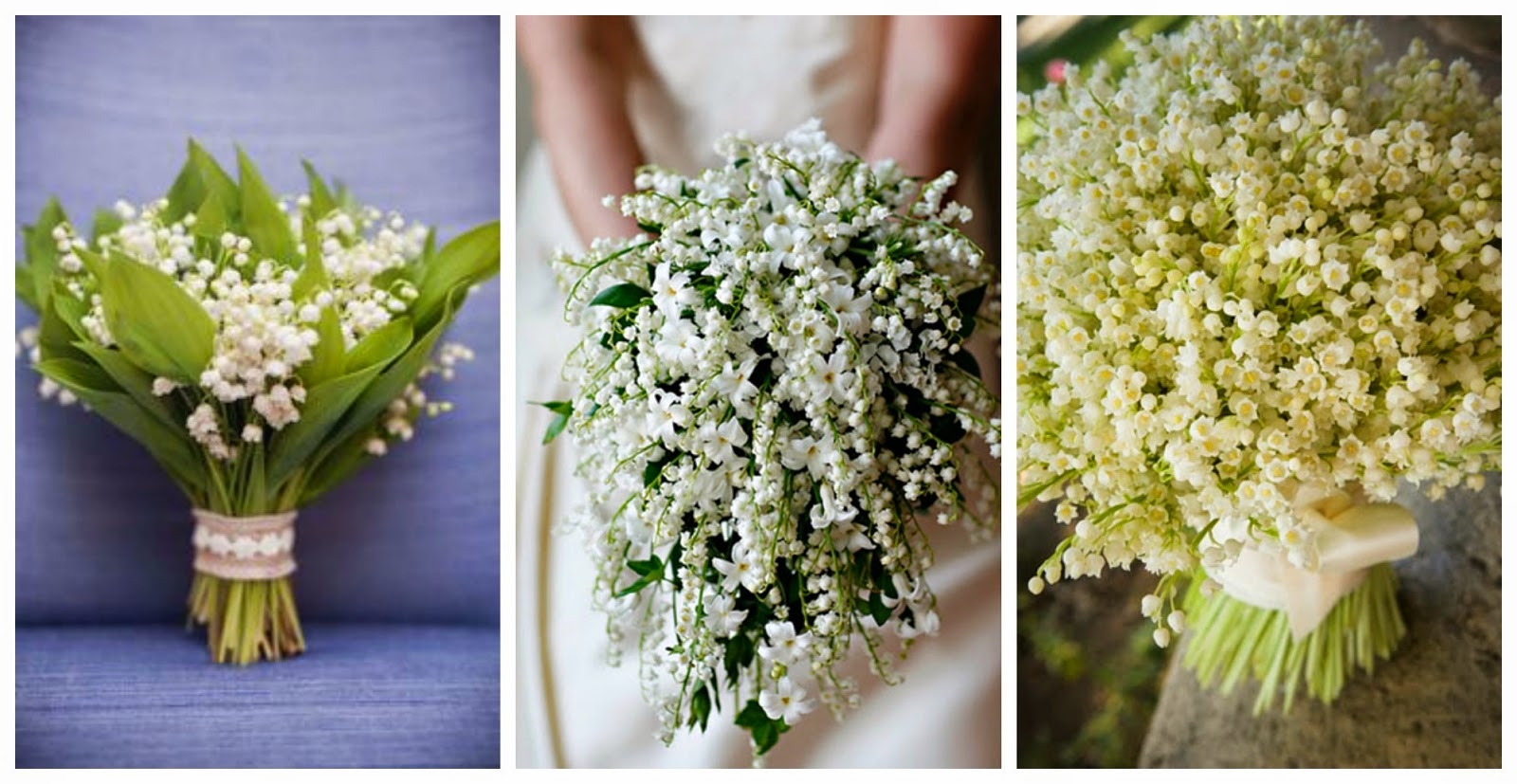 Fiori d’arancio: perché sono sinonimo di matrimonio? 