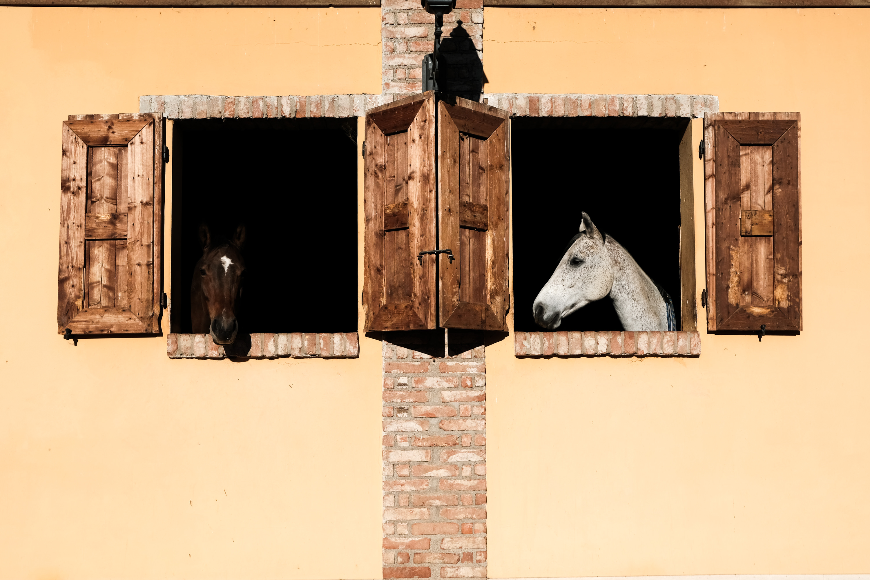 Francesco Ranoldi Fotografo. Vocazione e specializzazione.