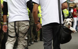 A gay couple walks hand in hand, one carrying a dog in his bag, during a gay pride parade in Bogota, Colombia, Sunday, June 30, 2013. People paraded through the capital demanding laws that grant social security benefits and marriage rights for gay couples. (AP Photo/Fernando Vergara)