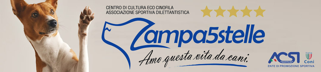 ZAMPA5STELLE