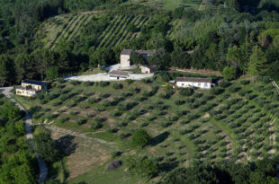 Overview of the buildings - Copia